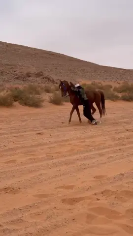 ##اكسبلور #اكسبلورexplore 