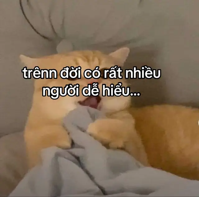 #xuhuongtiktok💗💗 #viralvideo❤️❤️ #tình_yêu💞💞 #anhyeuem❤️‍🔥❤️‍🔥 #nhớem😉😉 