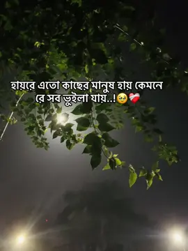 হায়রে এতো কাছের মানুষ হায় কেমনে রে সব ভুইলা যাই..!🥹❤️‍🩹#foryoupage #tanding #unfrezzmyaccount #1millionaudition #foryou @TikTok @Tik Tok Bangladesh 