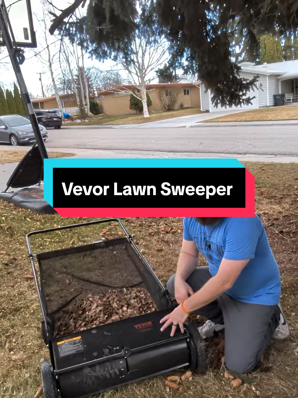 Replying to @duvy_special Yes it works great for pinecones. #yardcleanup #SpringCleaning #rakingleaves #vevor 