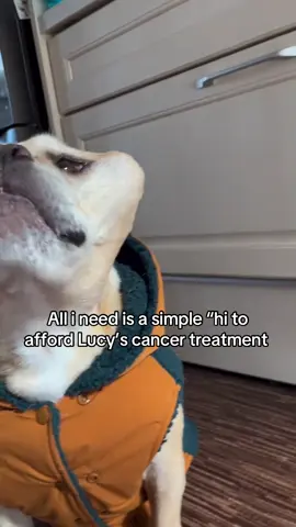 All i need is a simple “hi to afford Lucy’s cancer treatment #fyp #viralvideo #fypage 