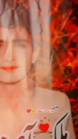 #arain #alipursaraiki #fypシ゚viral #malikasif01 @꧁༒☬🥷𝓕𝓪𝓲𝔃𝓪𝓷555🥷🦅☬༒꧂ @Faizan👑💞Sarkar👑555 @😈Hasnain☠️Malik302🤬 