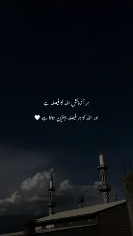 🤍🍁 #viral #tranding #poerty #bilalswati #poetrylines 