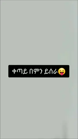 ቀጣይ በምን ይሰራ#creatorsearchinsights 