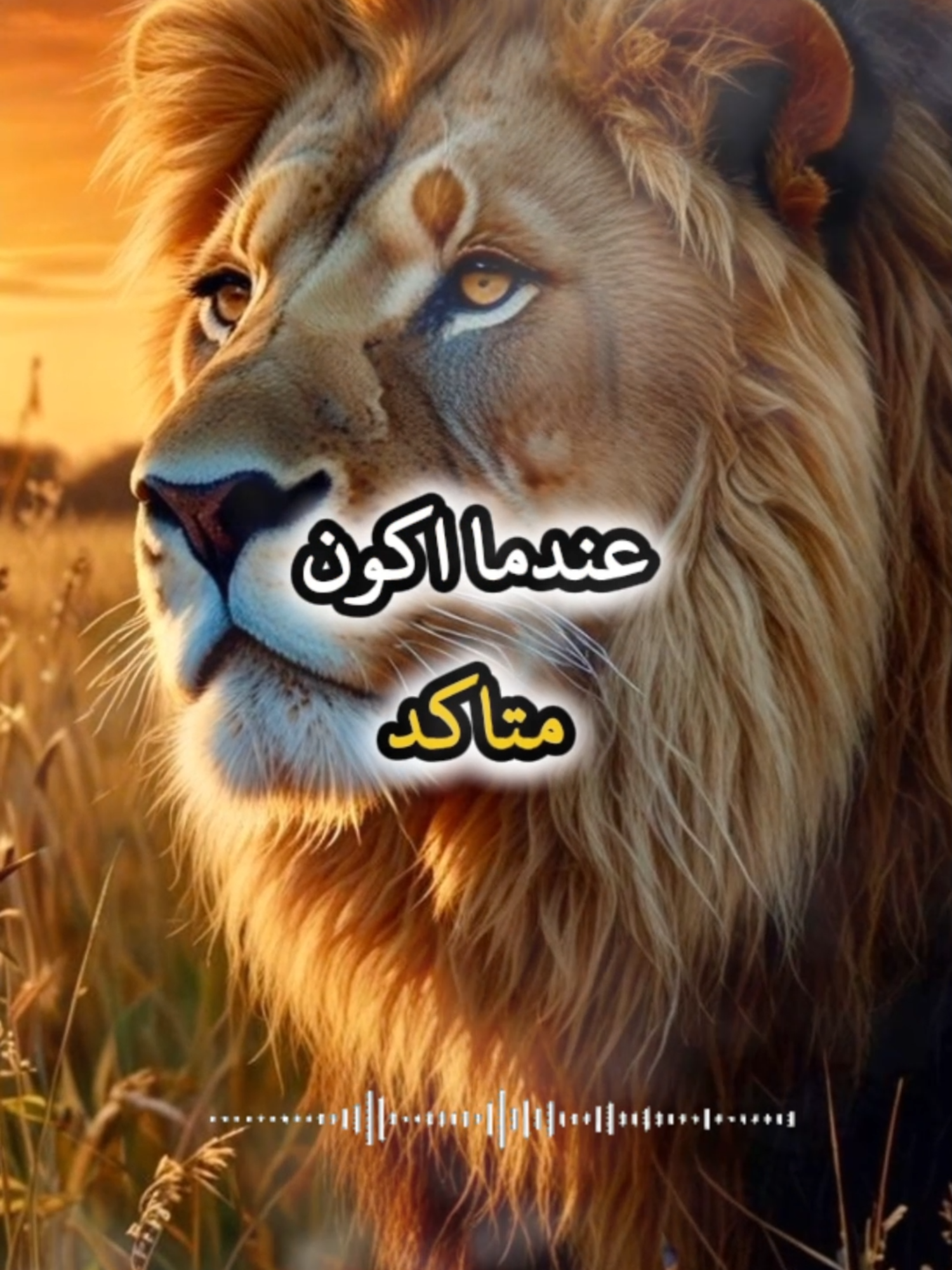 عندما أكون متأكد اني لم أخطئ في حقك #اقتباسات #حكمة #خواطر #اكسبلور #نجاح #علم_النفس #تطوير_الذات #كلام_من_ذهب #اطمئن #اقتباسات_عبارات_خواطر #تحفيزات_إيجابية #اللهم_صلي_على_نبينا_محمد #fyp #explore #viral_video #psychology #motivation