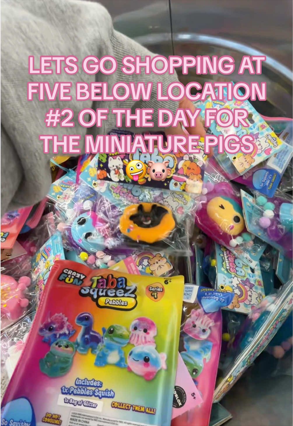 @Five Below location number 2 of the day looking for the MINIATURE PIGS🤪🐷 #shopwithme #fivebelow #fivebelowfinds #fivebelowhaul #piggy 