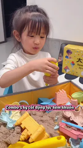 Combo 3kg cát kèm khuôn 