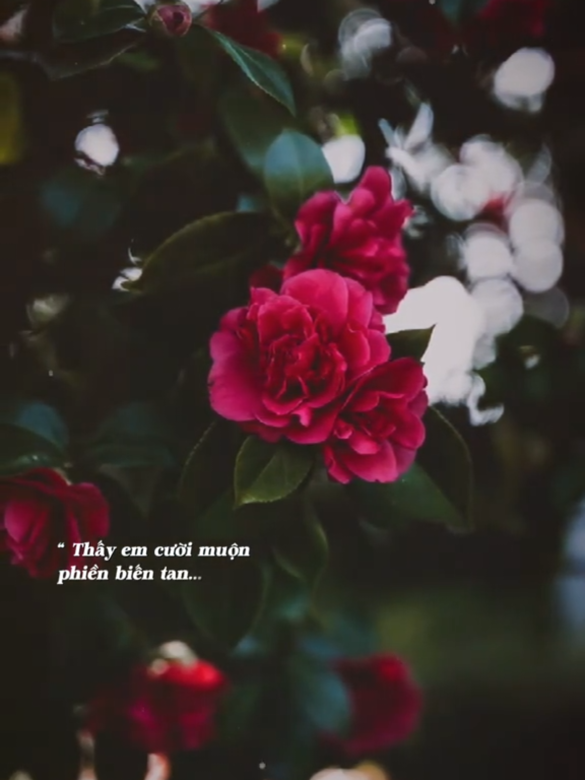 Tìm được thấy nhau không dễ dàng đâu... #bkmuzic #nhachaymoingay #50namvesau #nghidenngaytasegia 