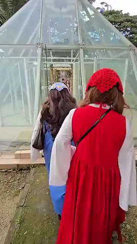 bawang merah putih lomba masuk rumah kaca