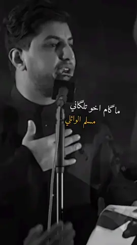 💔😔هوه إنت عايز يحسين  حته اني اچملك تعبي#ماگام_اخو_تلگاني#يازينب #ياحسين  #مسلم_الوائلي #1447هـ 