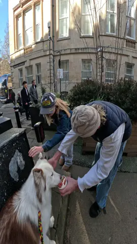Interactions with my dog!! #fyp #foryou #viral #dogs #icecream 
