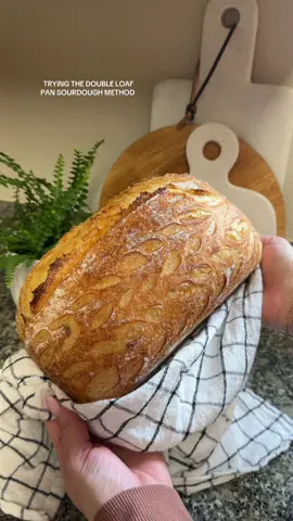 Loved how low maintenance this way of baking sourdough is! It’s the only way I’ve been baking my sourdough the last few weeks. No preheating needed 👏 #sourdough #sourdoughbread #doubleloafpanmethod #sourdoughbaking #sourdoughtok 