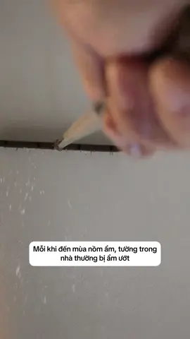 Túi Hút Ẩm, Chống Ẩm Mốc Có Móc Treo Gọn Nhẹ Dễ Dùng #tuihutam #fypシ゚ 