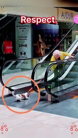 #respect #bekind #kindness #humanity #videoviraltiktok 