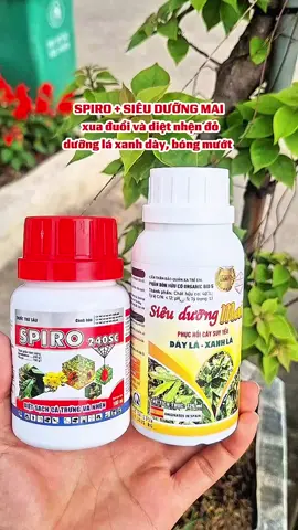 Bộ siêu dưỡng mai, xua đuổi và diệt nhện đỏ, bảo vệ bộ lá, giúp dày lá, xanh lá #spiro #dietnhendo #thuoctrunhendo #duongmai #maivang 