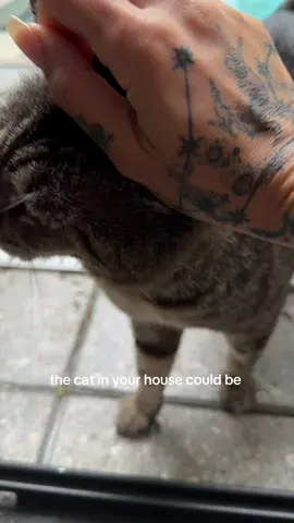 except I’m the cat, it’s his house, and he knows I am @Sheytan 