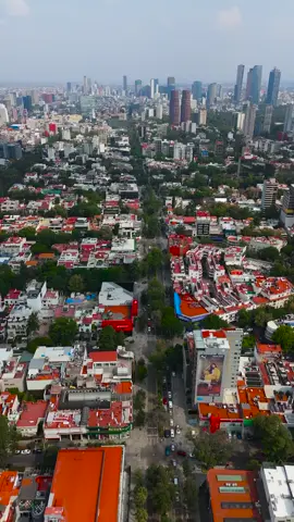 Embracing the vibrant spirit of Mexico City during Día de Muertos. A celebration of life, memory, and color like nowhere else🕯️💀 #MexicoCity #DiaDeMuertos #VibrantMexico #MexicanCulture #TravelMexico #CityofPalaces #ColorfulJourneys #HeritageTravel #TravelVibes #LatinAmerica #ExploreMexico #TraditionAndCulture #TravelPhotography #FestiveMoments #adventureawaits