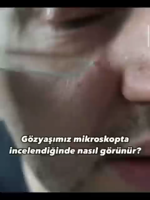 #fetöpiçi #fetullahgüllen