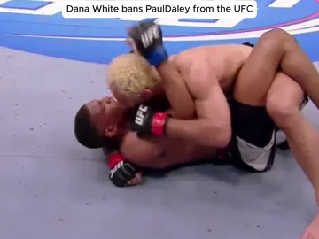 Hot UFC prospect Paul Daley ruined his career with one punch #UFC #usa #boxing #mma 