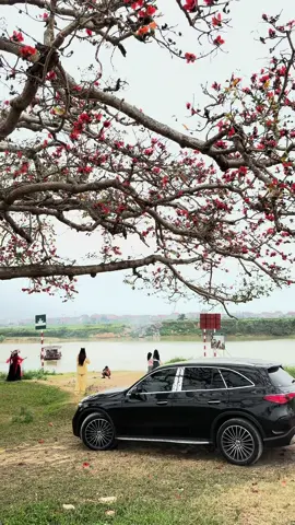 Trở về quê hương là trở về những miền ký ức bình yên đến lạ.🥰🥰🥰🥰🥰🥰🥰#xuhuong #tiktok #fyp #cuocsong #thinhhanh @HOÀNG THUYÊN 99BN💎 