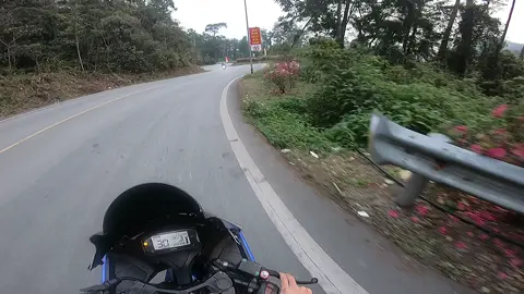 Hoa đẹp chưaaaa #gsx150 #gsxr150 #pkn #xedovietnam #pkl 