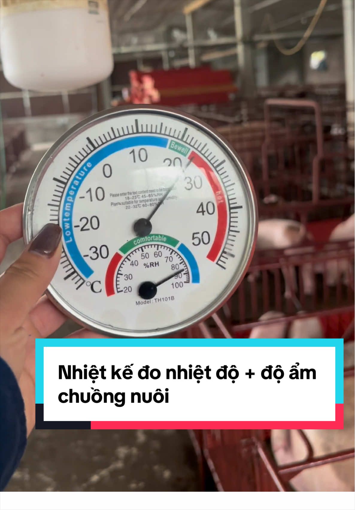 1 cái nhiệt kế -kiểm soát cả nhiệt độ + độ ẩm 🐷 Không còn đoán mò → giảm bệnh, tăng lớn rõ rệt!#quynhchannuoi #hoichannuoinaisinhsan #thietbichannuoiheo #channuoiheo 