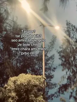 Manush mulotoh bhuless tar proman eta!🙃❤️‍🩹 #viralvideo #unfreezemyacountplz🙏 #myvideo❤🌍tiktokforyou✌️💫🥀💯🌎🌎 #mijan_bhaiyaa #fypシ゚viral🖤tiktok☆♡🦋myvideo @TikTok @TikTok Bangladesh @For You @tiktok creators 