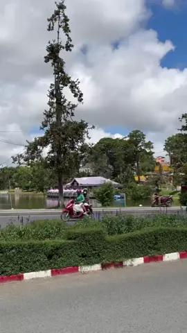 Đà Lạt hồ Xuân Hương Hồng Phương mến chúc cả nhà buổi tối vui vẻ#dalat #xuhuongtiktok2026h #thinhhanhtiktok2026x #hongphuonghoteldalat #dalat 