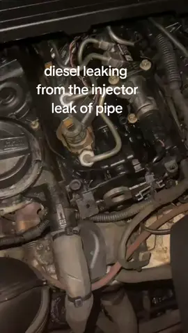 Fuel leak #dieselmechanic #cartok #mobilemechanic #fyp #whatisthis 