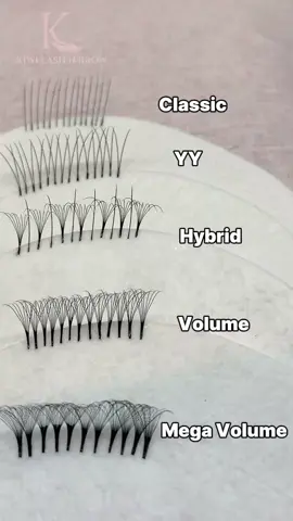 Different types of lash extensions: ✔️ Classic — 1:1 application Natural, clean, everyday look ✔️ YY Lashes — split tip lashes More fullness than classic, still lightweight ✔️ Hybrid — mix of classic + volume Balanced texture, soft but noticeable ✔️ Volume — handmade fans (2D–6D+) Full, fluffy, dramatic look Each style creates a different effect — it all depends on the client’s natural lashes and desired result 💯 Knowing the difference = better consultation, better results, happier clients 💫 ———————————— 💟 Lash technique & consultation tips 💟 From beginner to advanced artists #lashextensions #classiclashes #yylashes #hybridlashes #volumelashes #lasheducation #lashartistlife #noexcusesjustgrowth #kiwilashnbrow
