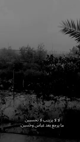 #صوت_الريح_حسبالي_دگة_باب_من_غالي #الرادود_باسم_الكربلائي 