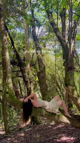 #forestcore #forestaesthetic #floresta 