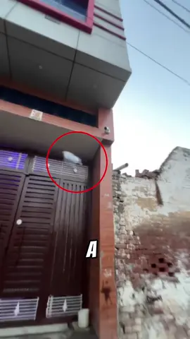 One Chance.perfect Aim. #delivery #india #interesting  This newspaper delivery man in India delivers newspapers every morning without ever stopping his motorcycle. Sometimes he throws the newspaper through a tiny gap in a door, and sometimes even to a second-floor balcony. He only gets one chance for each house, so his accuracy has to be perfect. Credit IG - @paper_boy_deep