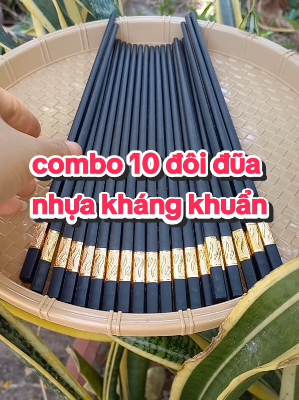 combo 10 đôi đũa nhựa cao cấp kháng khuẩn#duanhuachongmoc #duanhuakhangkhuan #duanhuamavang #dua 