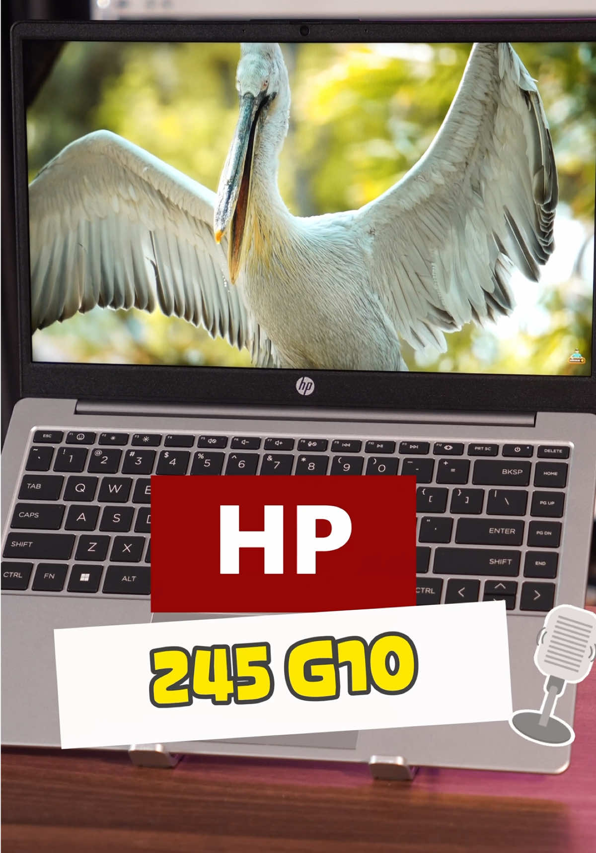 Laptop mỏng nhẹ HP 245 G10 14 ryzen 5 7530U Ram 16GB SSD 256GB màn 14FHD #hp245g10 #laptophp #laptopvanphong 