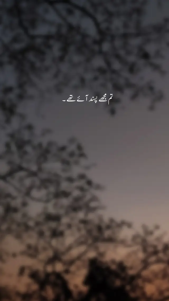 Sad pottery poetrym366   foryoupage videos urdushayari 1millionviews brokenheart#foryou #asthetic #fyp シ viral #poetry #foryoupage