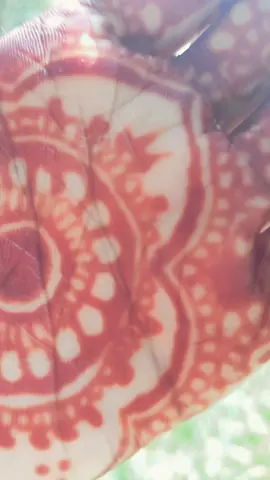 Mehendi☺️☺️