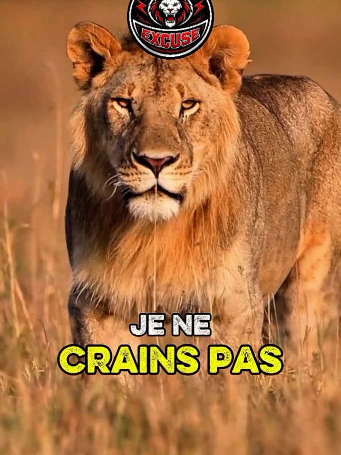 #motivation #conseil #citation #inspiration #developpementpersonnel 
