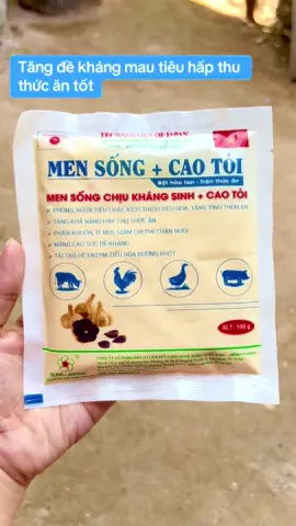 Men sống cao tỏi #mensongcaotoi #channuoigiasucgiacam 