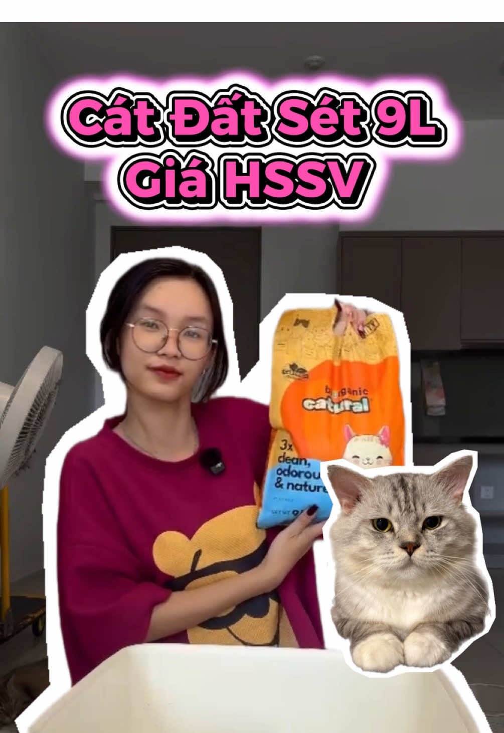 Giới thiệu cho mấy sen cát đất sét 9L giá tiết kiệm nè #catvesinhchomeo #catdatset #nuoimeo #catsoftiktok #catmeo 