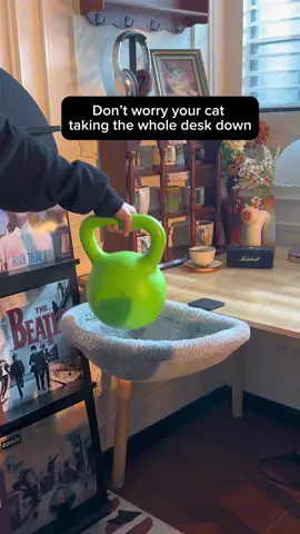 Finally a sturdy cat bed for your desktop #catbed #catfurniture #petaccessories #catlover #catsoftiktok 