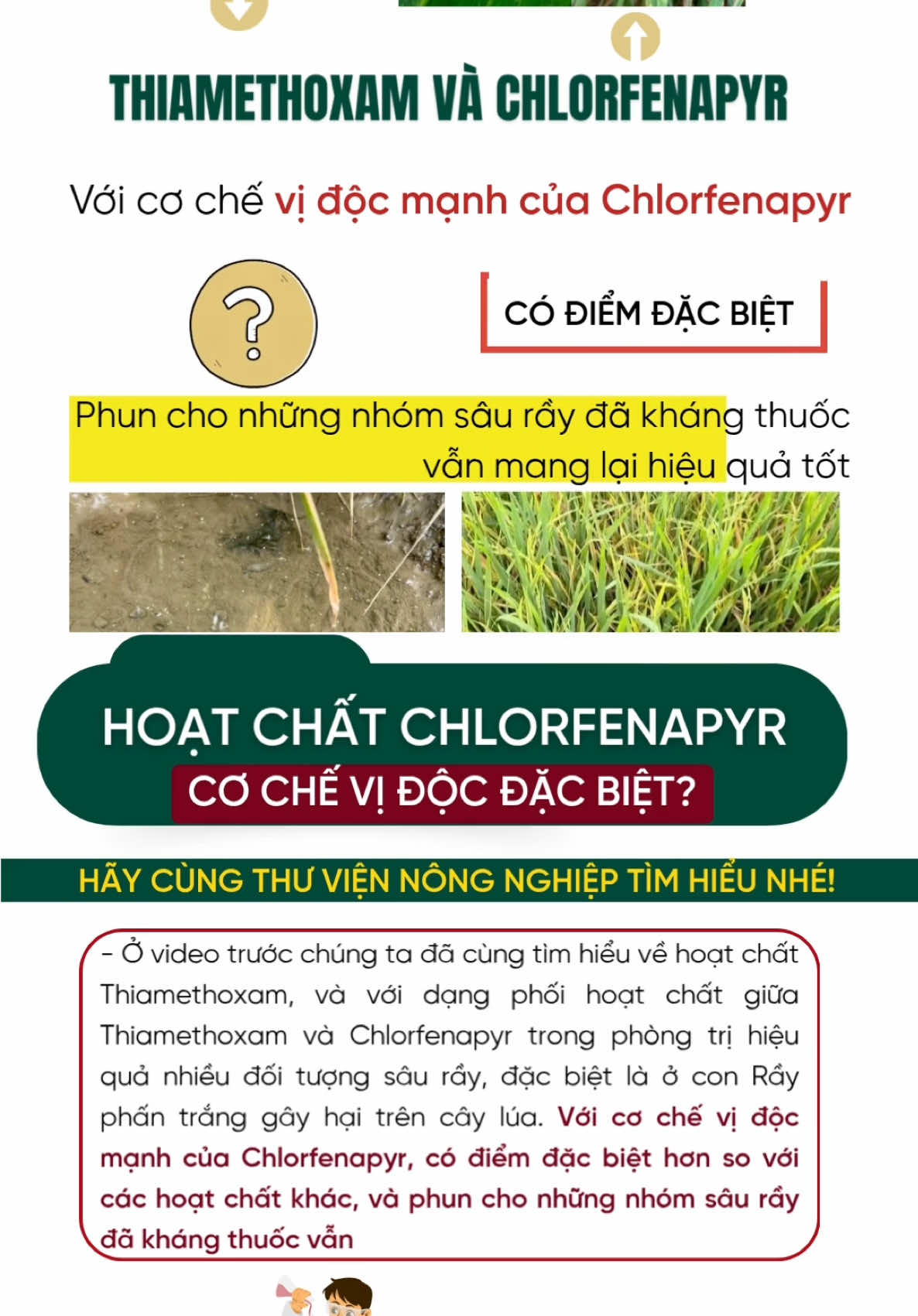 Hoạt chất Chlorfenapyr, cơ chế vị độc đặc biệt #thuviennongnghiep #chlorfenapyr #nongnghiep 