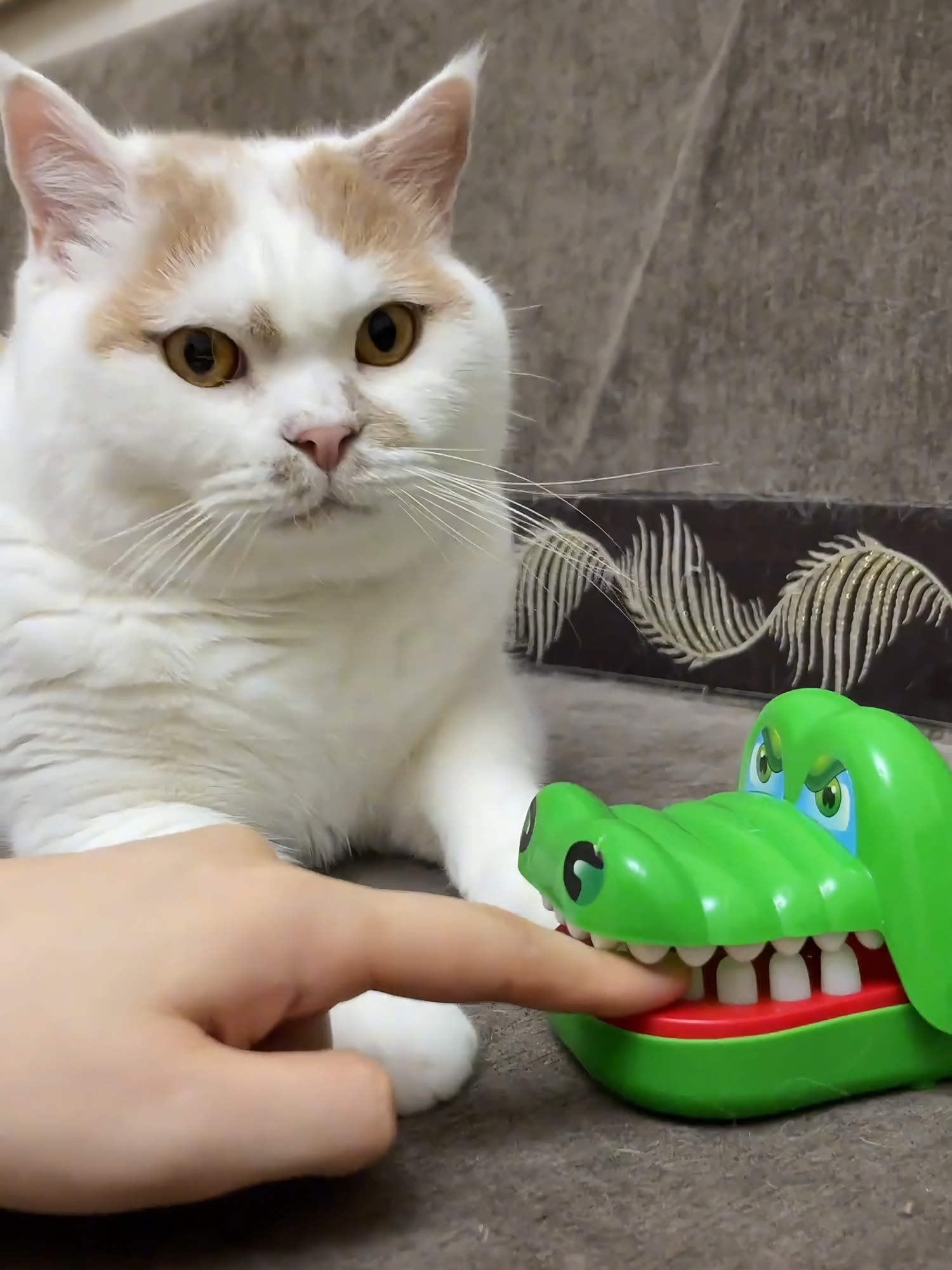 The cleverest cat of all time#cat #funny #fyp #viral #funnyvideo #clevercat