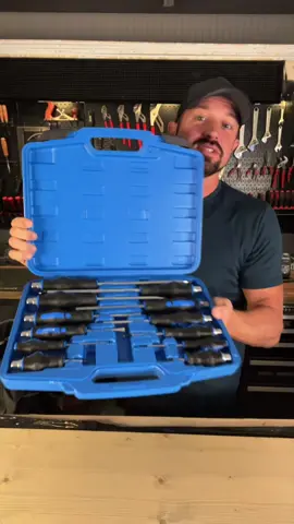 Magnetic Screwdriver Set 12 PCS with Black tips, 6 Phillips and 6 Flat Head Screwdrivers, with Go-Thru Steel Blades, High Torque for Fastening and Loosening (Black Tip_Matt Blade)