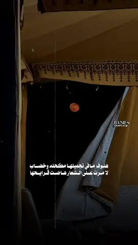 هنوف مافي تجميلها مكحله وخضاب #CapCut #اكسبلور #viral #شيلات #خالد_ال_بريك 