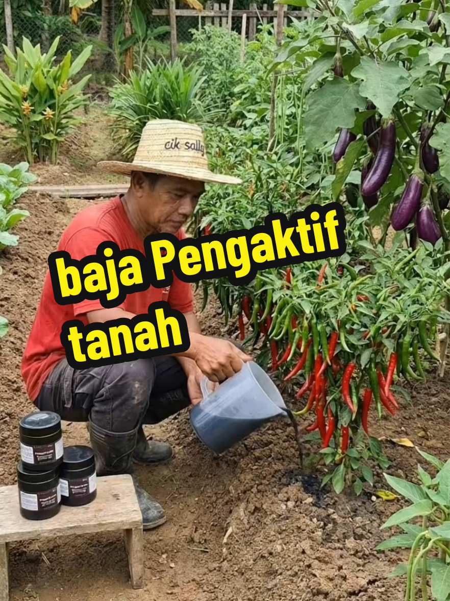 #creatorsearchinsights #soilhealth #gardeningtips #soilactivator #plantgrowth 