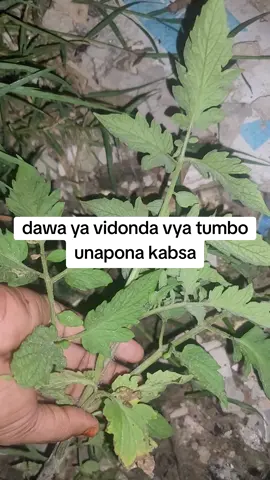 #fyp #trend #viral #kenyantiktok🇰🇪 #ugandatiktok 