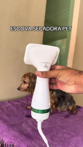 Super prática para você que tem pet de pelos longos 🐶🐾 #escovasecadora #pet #fy 