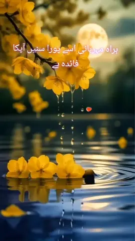 #foryou #foryou #foryou #foryou #foryou 