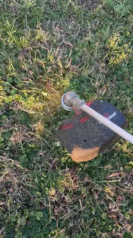 TESTINA IGNORANTE FILO 6 ELICOIDALE  KIMVERCOOP KVC  Testine e lame per decespugliatori prodotte e distribuite da noi Made in Italy universali e accessori professionali per il giardinaggio acquista nel nostro sito www.kimvercoop.it 